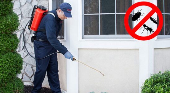 Düziçi Dezenfeksiyon böcek ilaçlama ve haşere kontrolü — ilaclama-tr.com